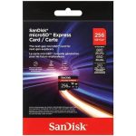 SanDisk Extreme Express 256GB microSDXC 880MB/s | NeoTech ICT Hub