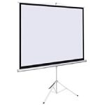 LightWave EPS-240E Electric Projector Screen 240x240cm | NeoTech ICT Hub - Image 5